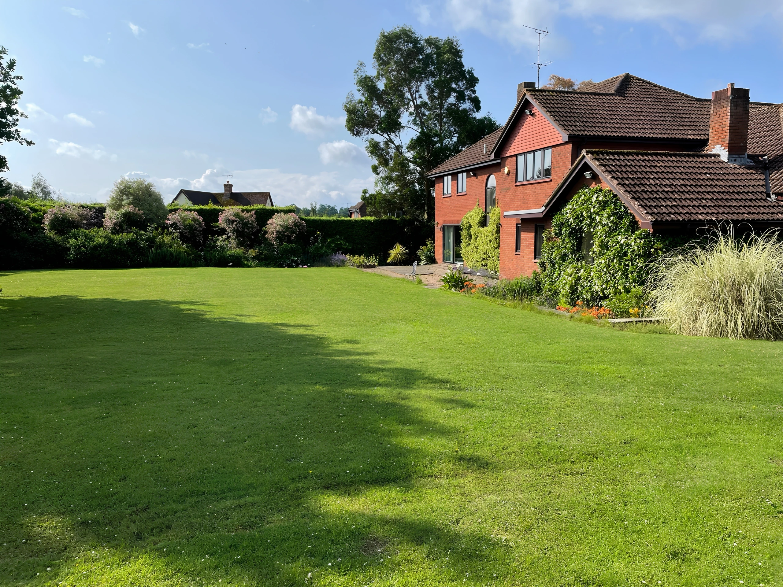 A garden at a Lord of the Lawns project, showing the house, hedging and borders above a newly laid lawn